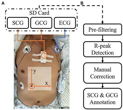 Frontiers | An Open-Access Database For The Evaluation Of Cardio ...